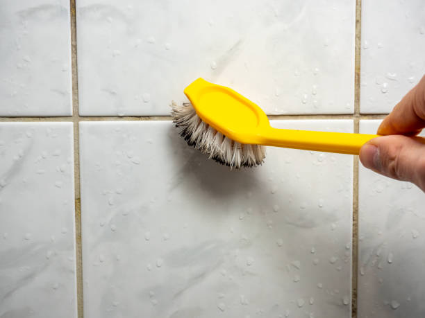 Best Best Mold Removal Companies  in Old Fig Garden, CA